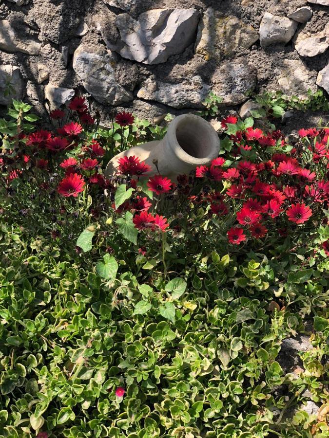 Villa Johnny And Mary'S House Breathtaking View Taormina Exterior photo